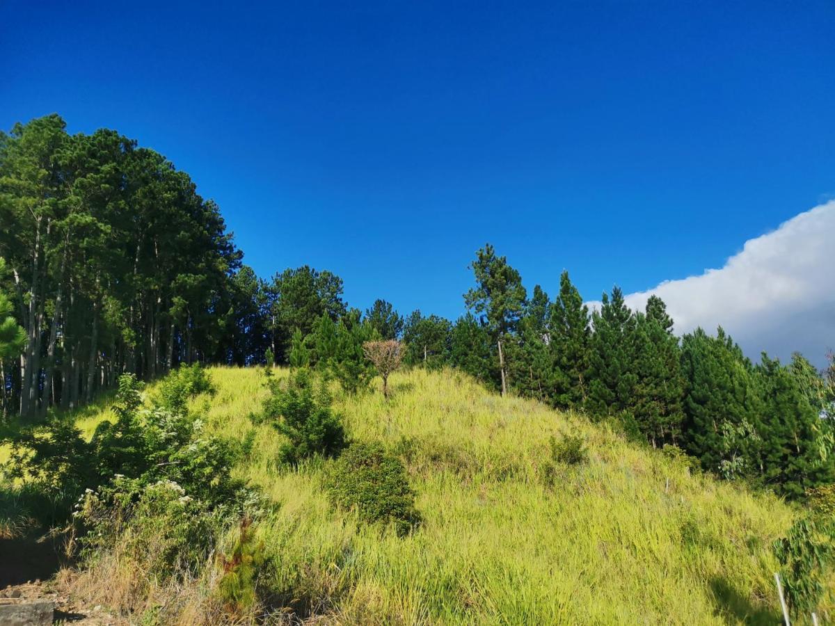 Bed and Breakfast Mountain Peak Ella Esterno foto