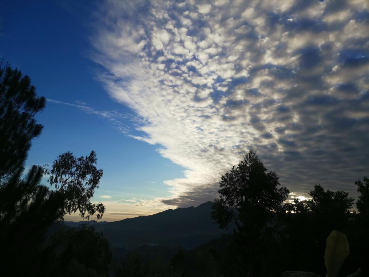 Bed and Breakfast Mountain Peak Ella Esterno foto